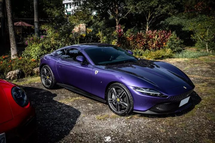 Ferrari in Viola Dino — Roma (carpaints.co)