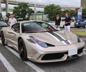 Ferrari in Grigio Ingrid (Ferrari Colors blog)